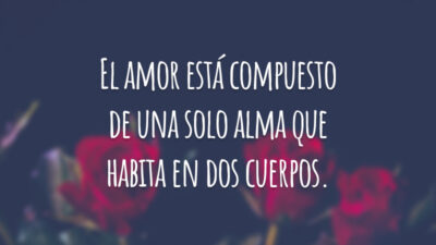 El amor está compuesto de una solo alma que habita en dos cuerpos. (O amor é composto de uma única alma que vive em dois corpos.)