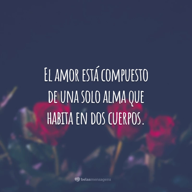 El amor está compuesto de una solo alma que habita en dos cuerpos. (O amor é composto de uma única alma que vive em dois corpos.)