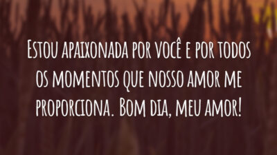 Estou apaixonada por você e por todos os momentos que nosso amor me proporciona. Bom dia, meu amor!