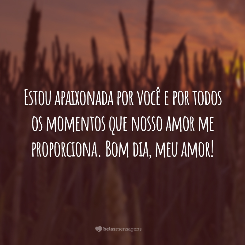 Estou apaixonada por você e por todos os momentos que nosso amor me proporciona. Bom dia, meu amor!