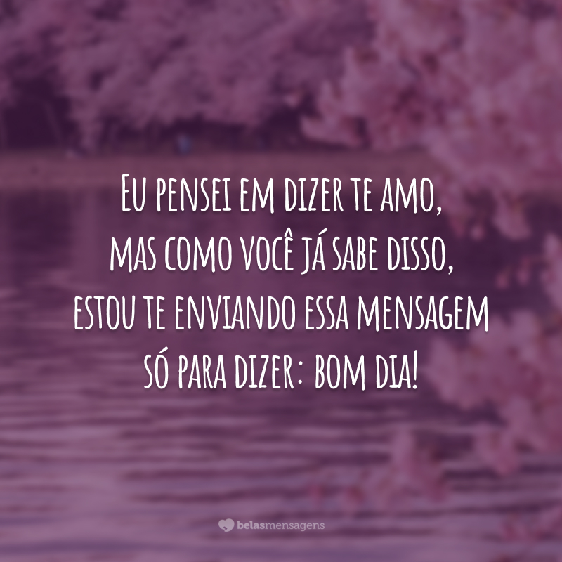 Eu pensei em dizer te amo, mas como você já sabe disso, estou te enviando essa mensagem só para dizer: bom dia!