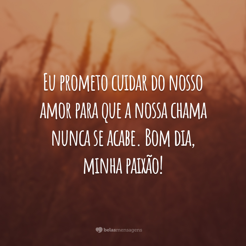 Eu prometo cuidar do nosso amor para que a nossa chama nunca se acabe. Bom dia, minha paixão!