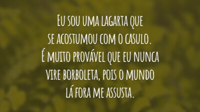Eu sou uma lagarta que se acostumou com o casulo. É muito provável que eu nunca vire borboleta, pois o mundo lá fora me assusta.
