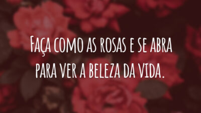 Faça como as rosas e se abra para ver a beleza da vida.