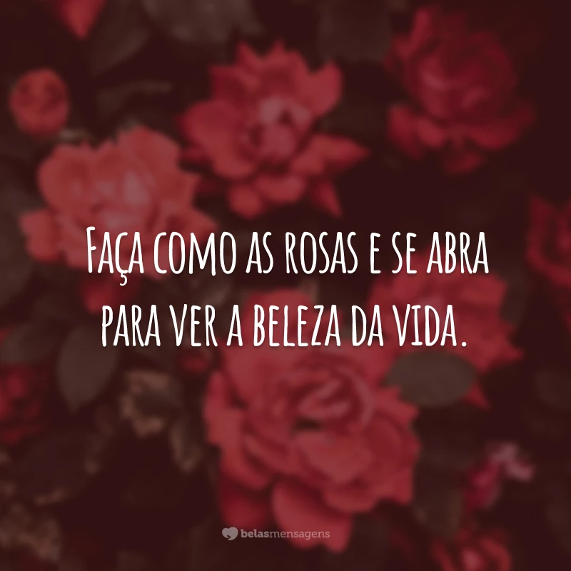 Faça como as rosas e se abra para ver a beleza da vida.