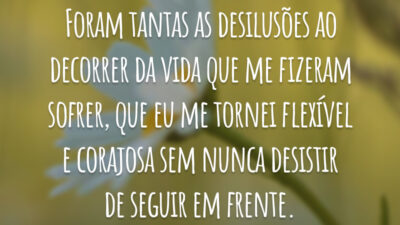 Foram tantas as desilusões ao decorrer da vida que me fizeram sofrer, que eu me tornei flexível e corajosa sem nunca desistir de seguir em frente.