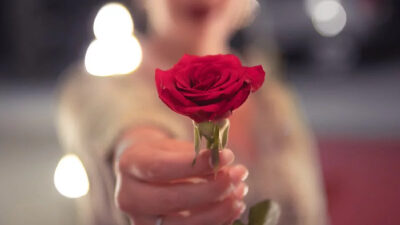 40 frases sobre rosas para perfumar a vida com a flor do amor