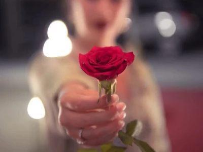 40 frases sobre rosas para perfumar a vida com a flor do amor