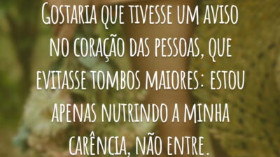 Gostaria que tivesse um aviso no coração das pessoas, que evitasse tombos maiores: estou apenas nutrindo a minha carência, não entre.