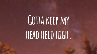 Gotta keep my head held high. 
(Tenho que manter minha cabeça erguida.)
