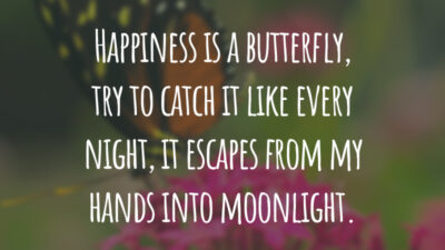 Happiness is a butterfly, try to catch it like every night, it escapes from my hands into moonlight.
(A felicidade é uma borboleta, tento pegá-la toda noite, mas ela escapa das minhas mãos no luar.)
