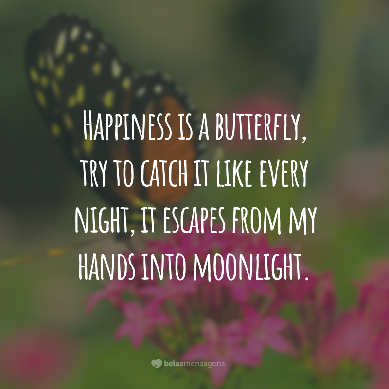 Happiness is a butterfly, try to catch it like every night, it escapes from my hands into moonlight.
(A felicidade é uma borboleta, tento pegá-la toda noite, mas ela escapa das minhas mãos no luar.)