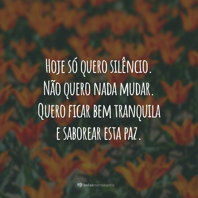 Hoje só quero silêncio. Não quero nada mudar. Quero ficar bem tranquila e saborear esta paz.