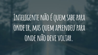 Inteligente não é quem sabe para onde ir, mas quem aprendeu para onde não deve voltar.
