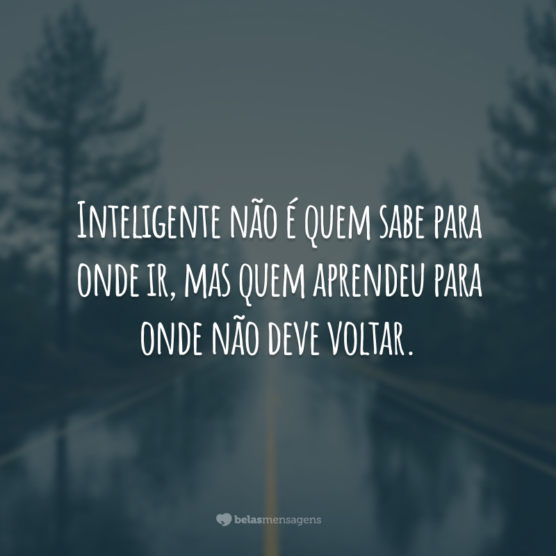 Inteligente não é quem sabe para onde ir, mas quem aprendeu para onde não deve voltar.