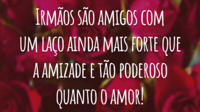 Irmãos são amigos com um laço ainda mais forte que a amizade e tão poderoso quanto o amor!