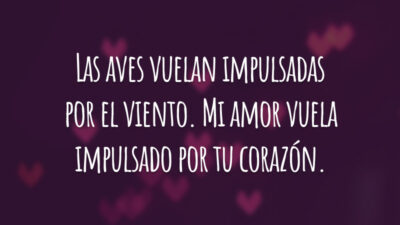 Las aves vuelan impulsadas por el viento. Mi amor vuela impulsado por tu corazón. (Os pássaros voam impulsionados pelo vento. Meu amor voa, impulsionado por teu coração.)