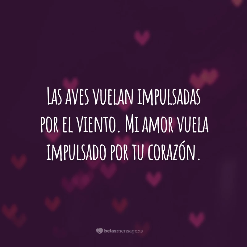 Las aves vuelan impulsadas por el viento. Mi amor vuela impulsado por tu corazón. (Os pássaros voam impulsionados pelo vento. Meu amor voa, impulsionado por teu coração.)