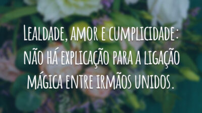 Lealdade, amor e cumplicidade: não há explicação para a ligação mágica entre irmãos unidos.