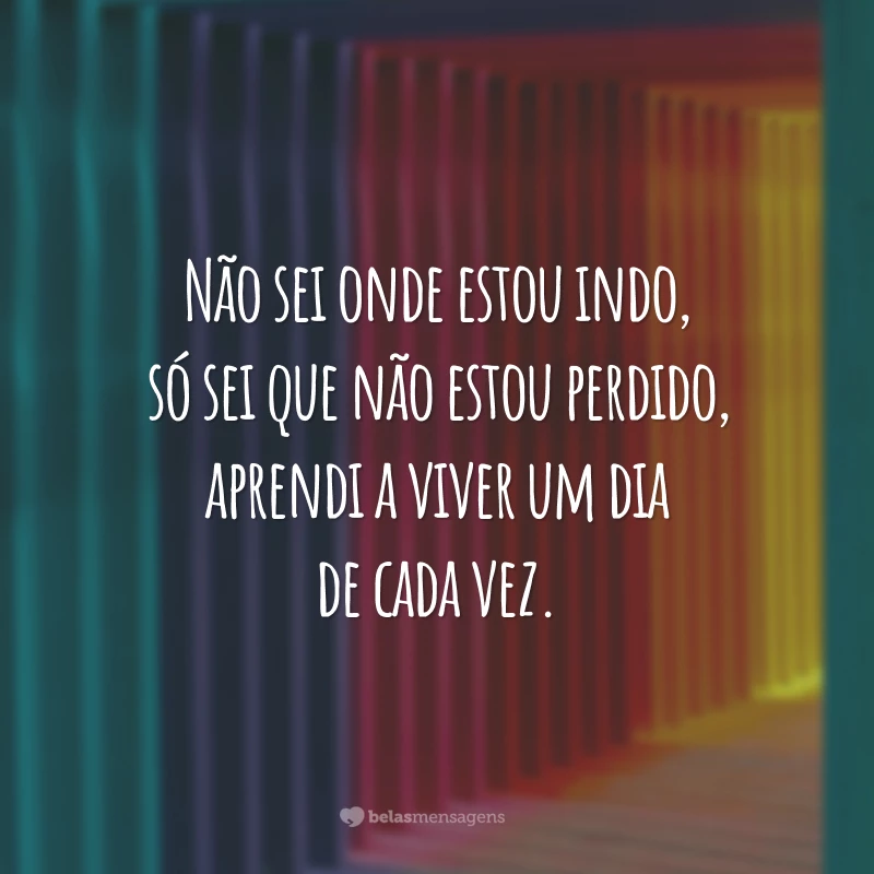 Não sei onde estou indo, só sei que não estou perdido, aprendi a viver um dia de cada vez.