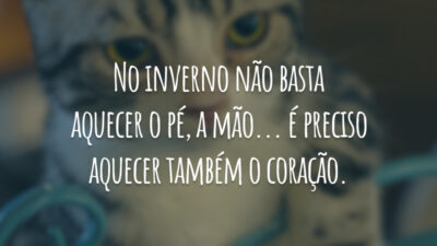 No inverno não basta aquecer o pé, a mão... é preciso aquecer também o coração.