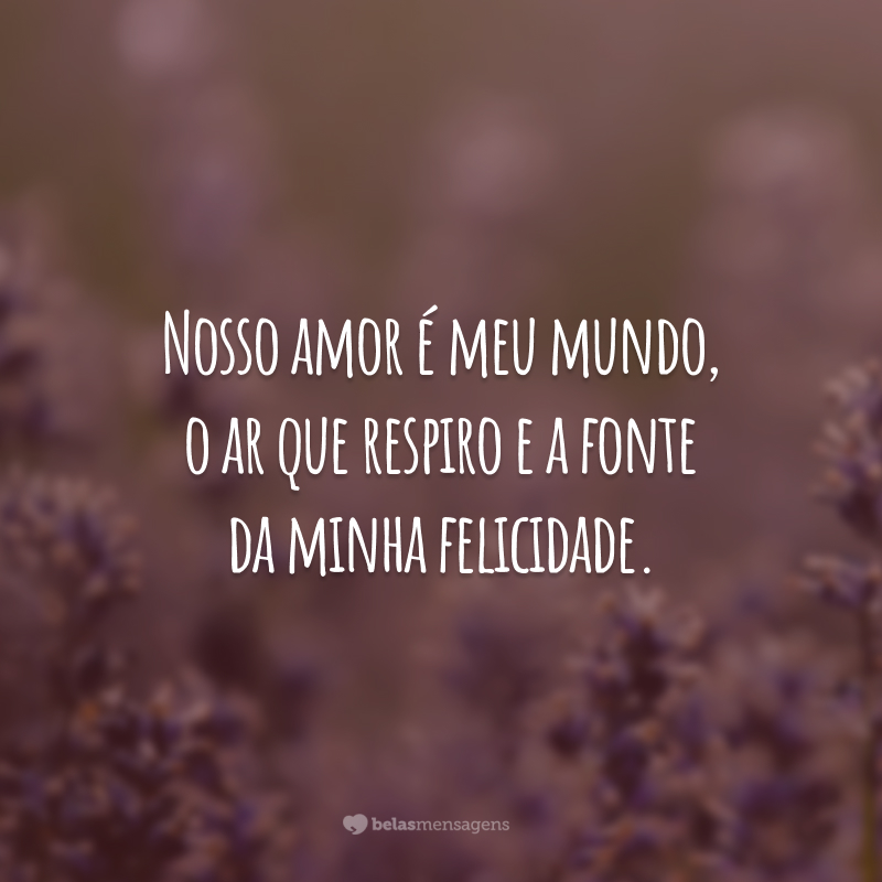 Nosso amor é meu mundo, o ar que respiro e a fonte da minha felicidade.