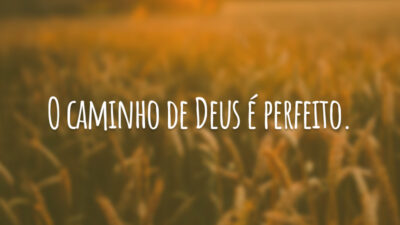 O caminho de Deus é perfeito.
