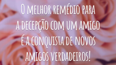 O melhor remédio para a decepção com um amigo é a conquista de novos amigos verdadeiros!