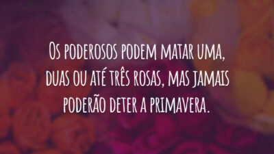 Os poderosos podem matar uma, duas ou até três rosas, mas jamais poderão deter a primavera.