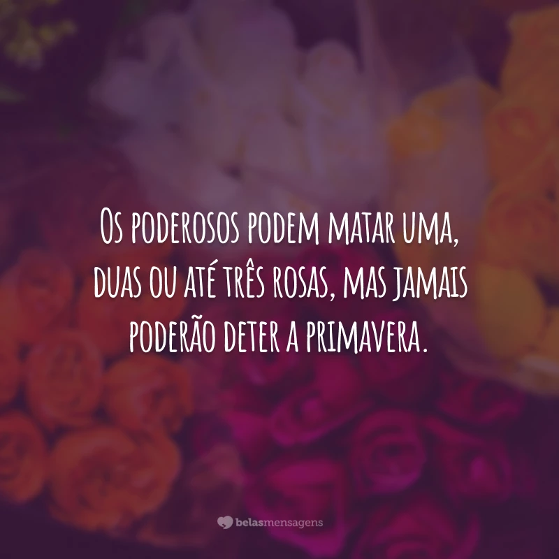 Os poderosos podem matar uma, duas ou até três rosas, mas jamais poderão deter a primavera.