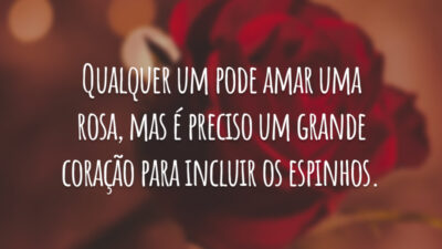 Qualquer um pode amar uma rosa, mas é preciso um grande coração para incluir os espinhos.