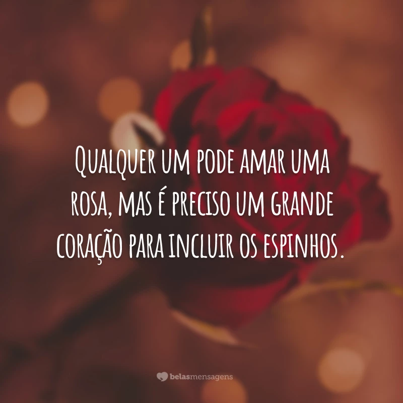 Qualquer um pode amar uma rosa, mas é preciso um grande coração para incluir os espinhos.