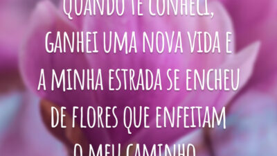 Quando te conheci, ganhei uma nova vida e a minha estrada se encheu de flores que enfeitam o meu caminho.