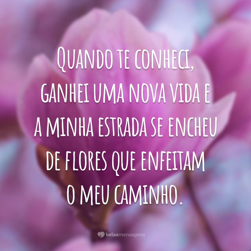 Quando te conheci, ganhei uma nova vida e a minha estrada se encheu de flores que enfeitam o meu caminho.