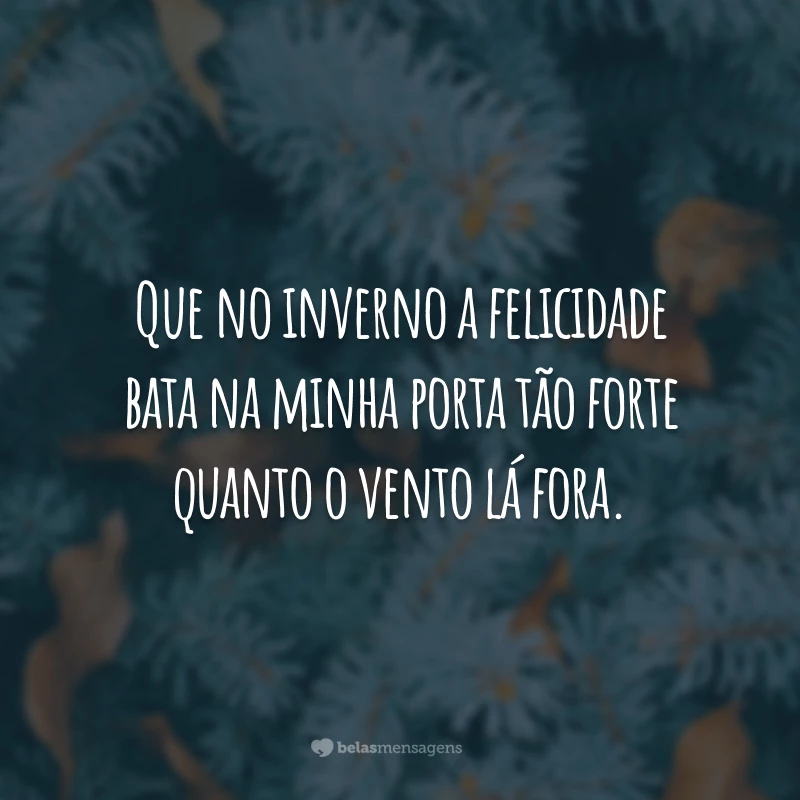 Que no inverno a felicidade bata na minha porta tão forte quanto o vento lá fora.