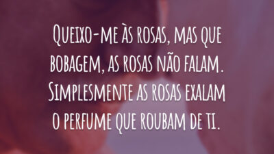 Queixo-me às rosas, mas que bobagem, as rosas não falam. Simplesmente as rosas exalam o perfume que roubam de ti.