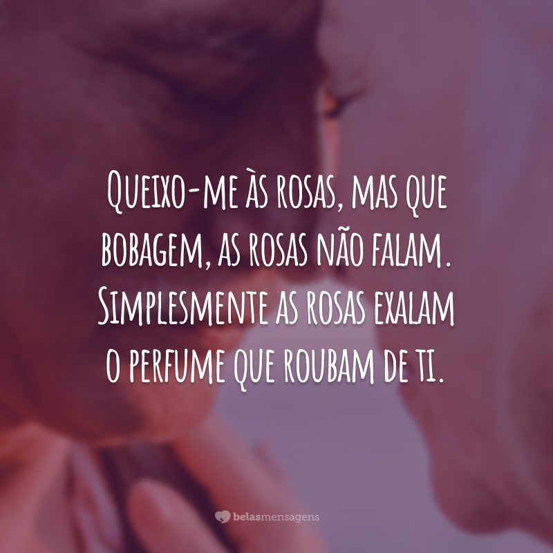 Queixo-me às rosas, mas que bobagem, as rosas não falam. Simplesmente as rosas exalam o perfume que roubam de ti.