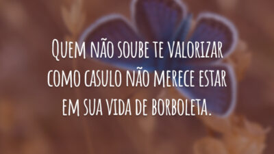 Quem não soube te valorizar como casulo não merece estar em sua vida de borboleta.