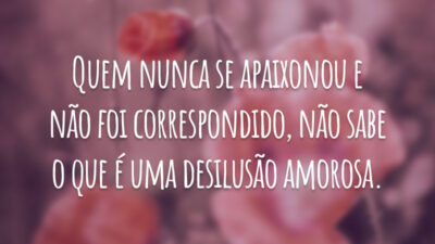 Quem nunca se apaixonou e não foi correspondido, não sabe o que é uma desilusão amorosa.