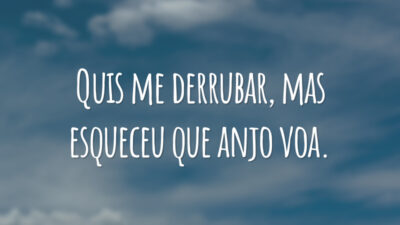 Quis me derrubar, mas esqueceu que anjo voa.