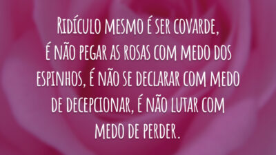Ridículo mesmo é ser covarde, é não pegar as rosas com medo dos espinhos, é não se declarar com medo de decepcionar, é não lutar com medo de perder.
