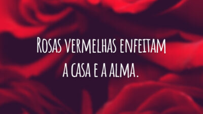Rosas vermelhas enfeitam a casa e a alma.
