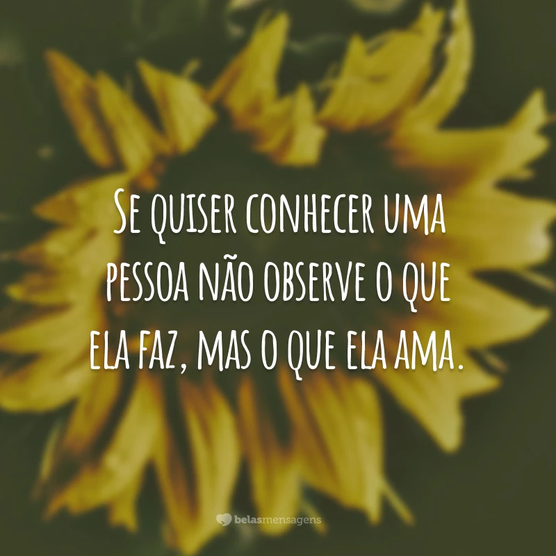 Se quiser conhecer uma pessoa não observe o que ela faz, mas o que ela ama.