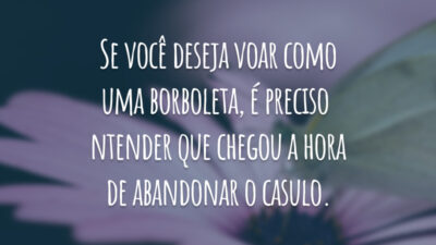 Se você deseja voar como uma borboleta, é preciso entender que chegou a hora de abandonar o casulo.
