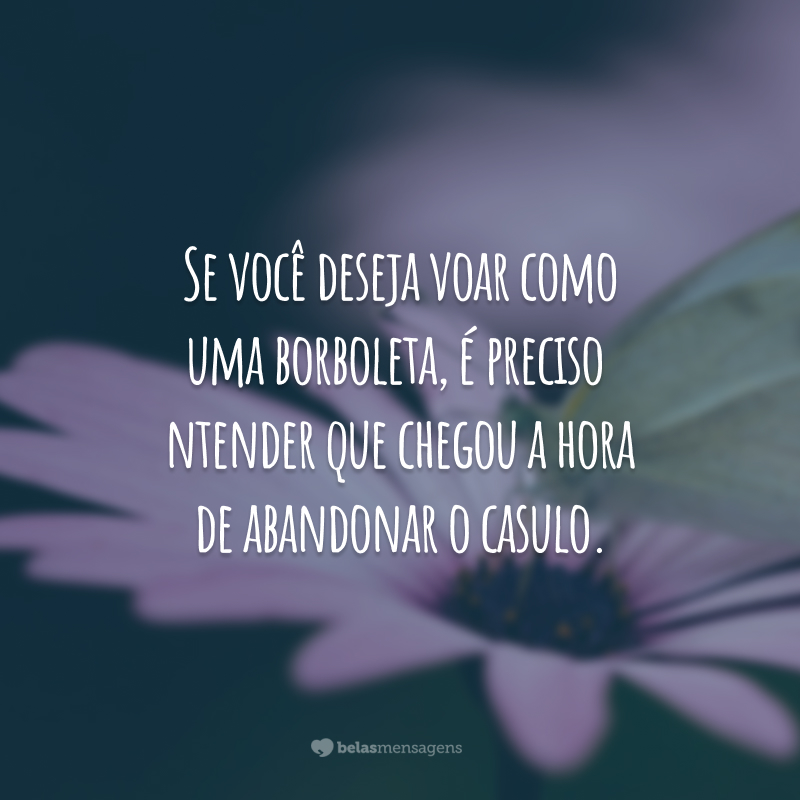 Se você deseja voar como uma borboleta, é preciso entender que chegou a hora de abandonar o casulo.