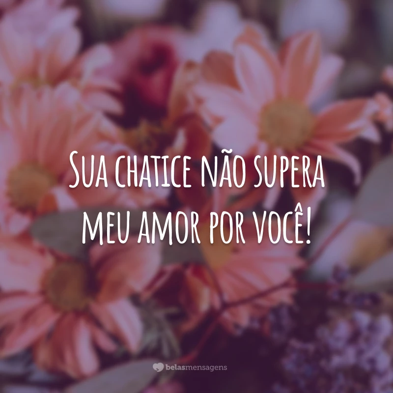 Sua chatice não supera meu amor por você!