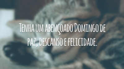 Tenha um abençoado domingo de paz, descanso e felicidade.