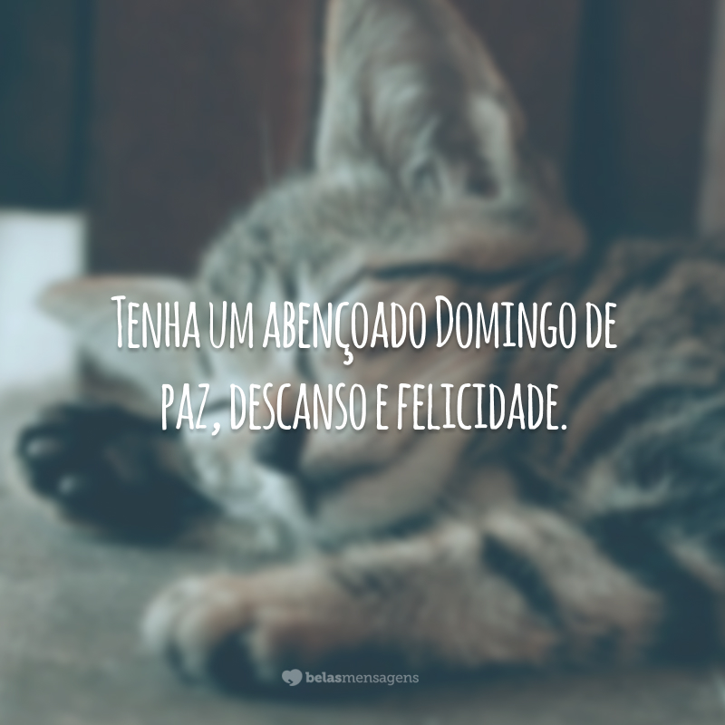 Tenha um abençoado domingo de paz, descanso e felicidade.