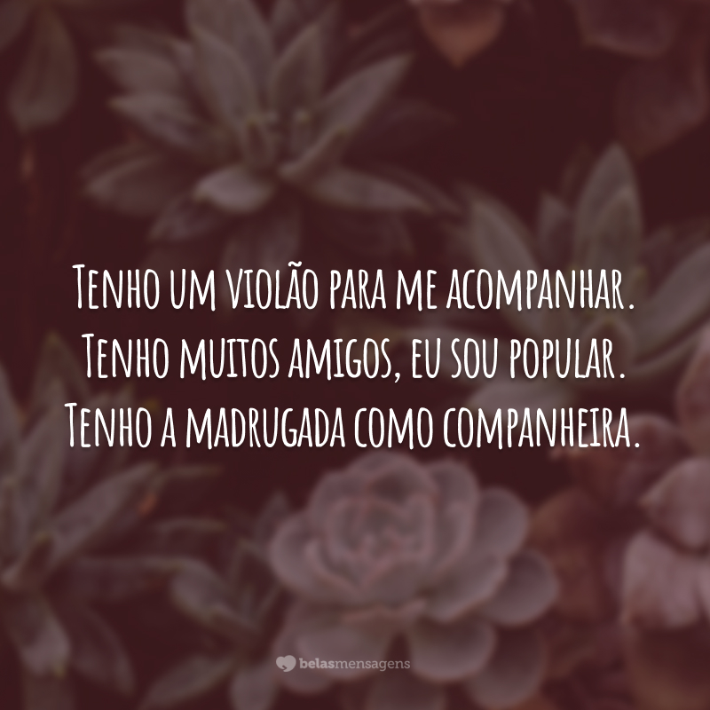 Tenho um violão para me acompanhar. Tenho muitos amigos, eu sou popular. Tenho a madrugada como companheira.