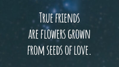 True friends are flowers grown from seeds of love. 
(Amigos verdadeiros são flores cultivadas a partir de sementes de amor.)